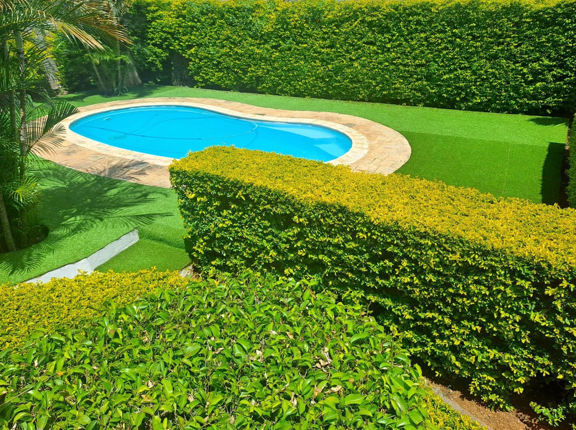 Appartement Paisible Avec Jardin & Piscine Albion Exterior foto